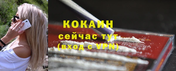 прущие грибы Абаза
