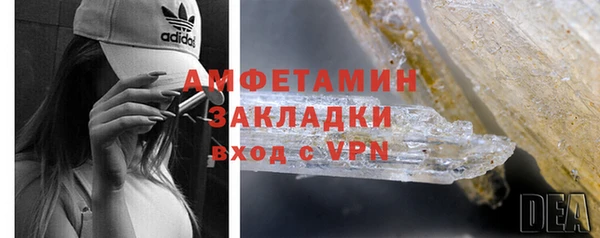 прущие грибы Абаза