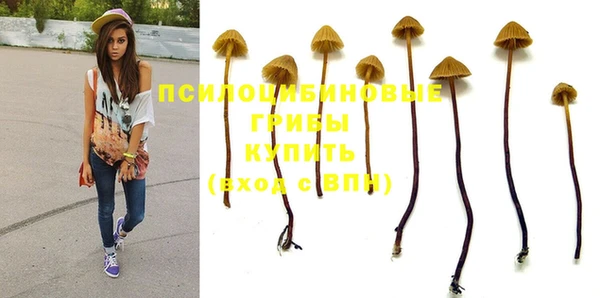 винт Киренск