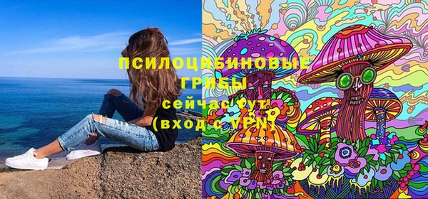 прущие грибы Абаза